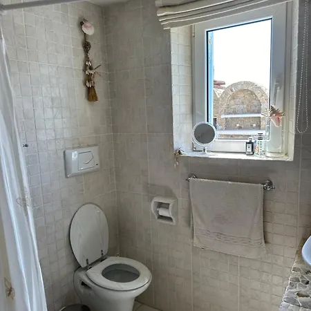 Cycladique - Pres De Panormos Apartament